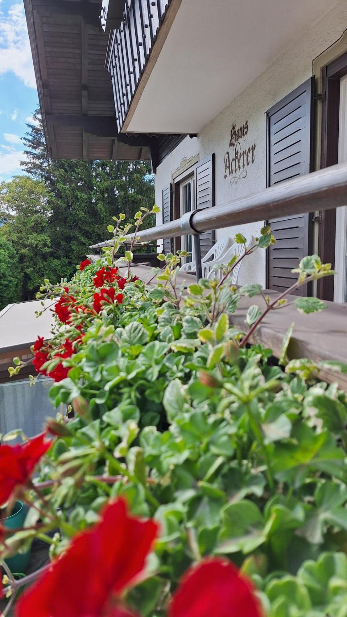 Appartement Haus Ackerer à Leogang Extérieur photo
